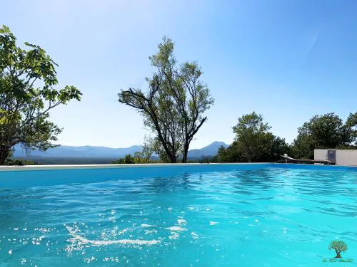 La Finca Olivetree