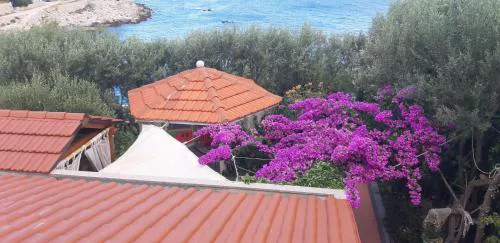 Apartments Luka