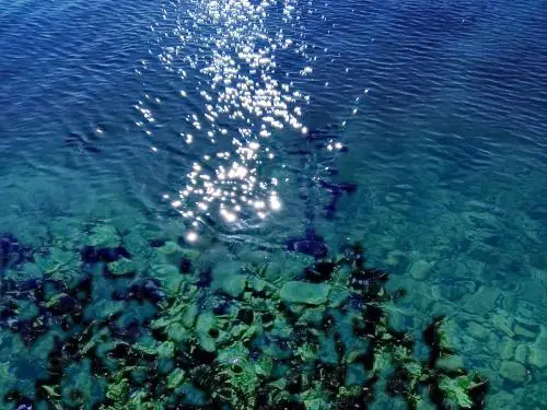 Adriatic Pearl
