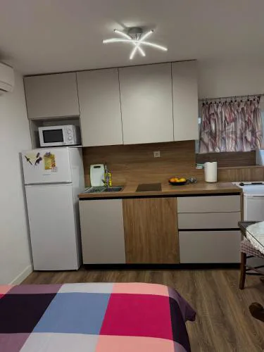 Apartment Mila