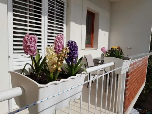 Apartment Vice mali