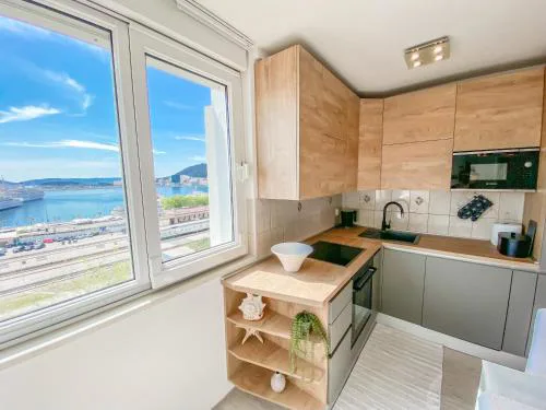 Homey apartment with a view