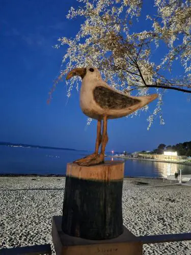 Larus