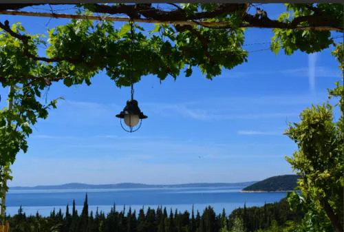Mediterranean House - Forest Marjan