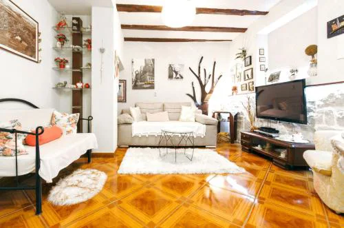 Modern Apartment in the Heart of Split with Private Garden