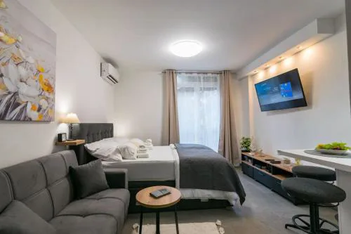 Studio Apartment Mot