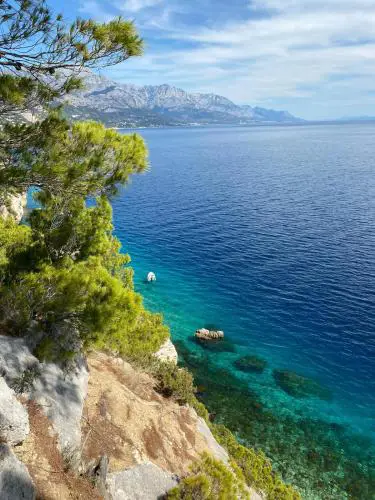 The Heart of Split