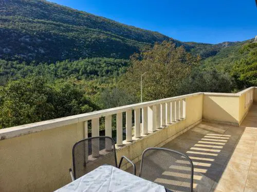 Apartment Ruza