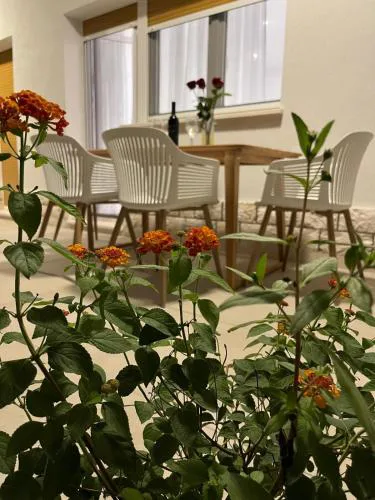 Apartmani Ostro Trogir