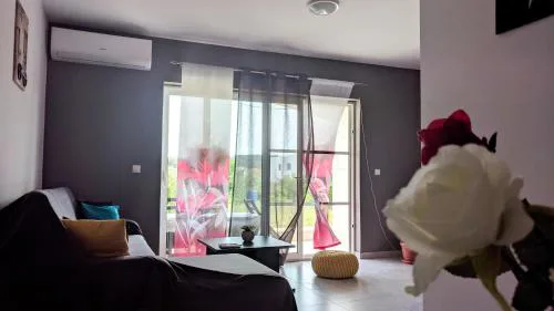 Apartment Anton