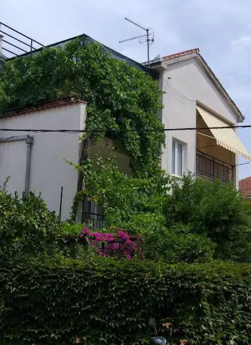 Bugenvila