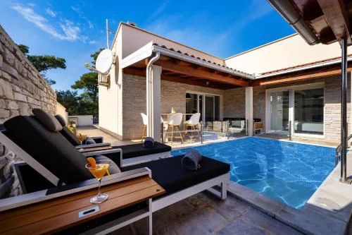 MY DALMATIA - Villa Gajser with private swimming pool