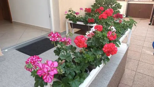 Apartment Marelja - private parking and balcony