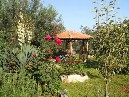 Apartments Branimir