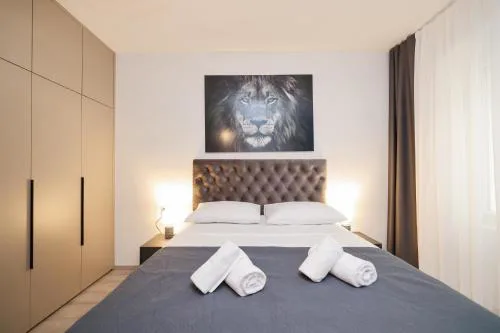 Classy apartments in city centar