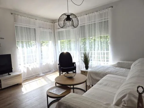 Deluxe Apartments Goya