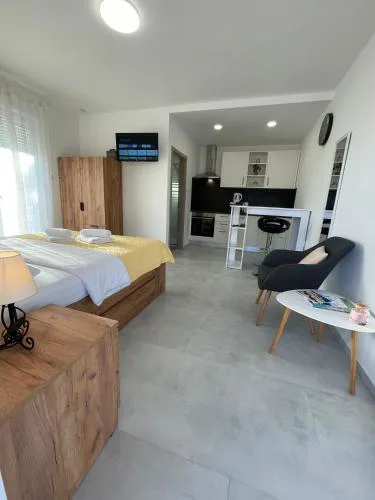 Studio Apartment Iva with Balcony