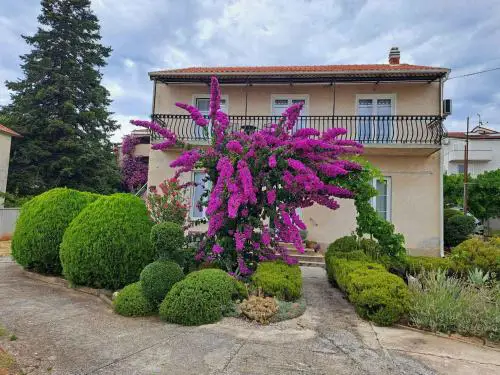 Apartment in Biograd na Moru 7946