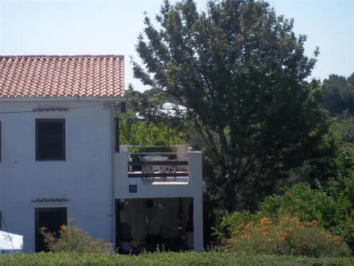 Apartment Branka