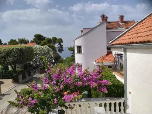 Apartment in Petrcane - Zadar Riviera 7842