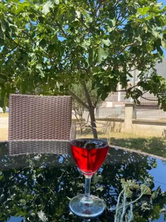 APARTMAN ROVANJSKA