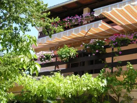 Apartments Vital Maslenica