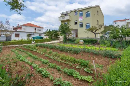 Apartments by the sea Posedarje - Novigrad - 6190