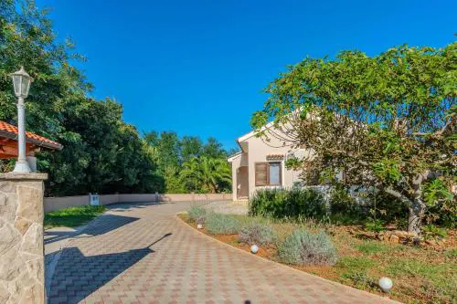 House Suric