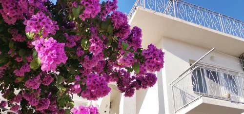Apartman Mare