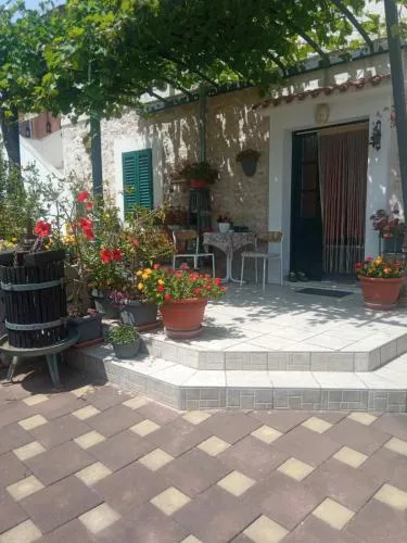 Apartment Vodice