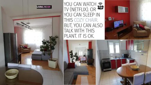 Spacious family apartment with parking in the shade and barbecue house