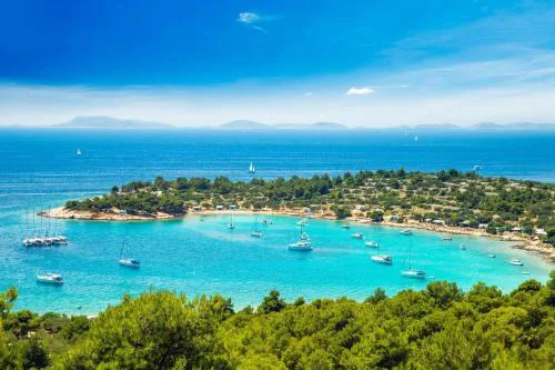 Paradise kosirina