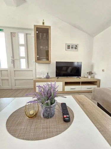 Apartment VIP