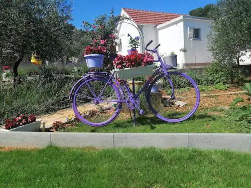 House Marie's Lavander Dream