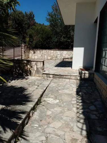 Ruža