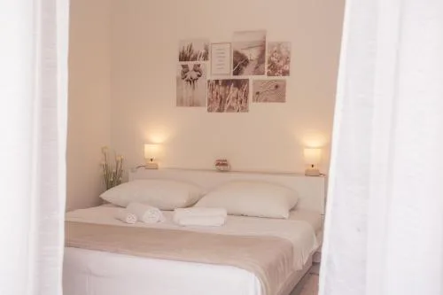 Stellar Suite