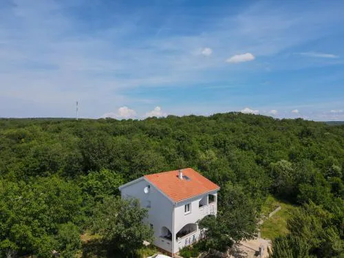 Apartment & Room Danijel