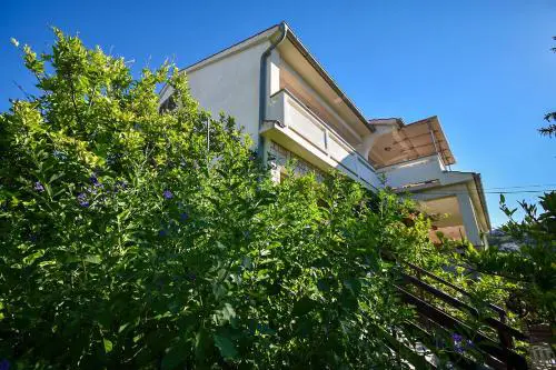 Apartments and Rooms Frane