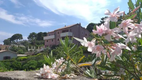 Amaryllis family residence