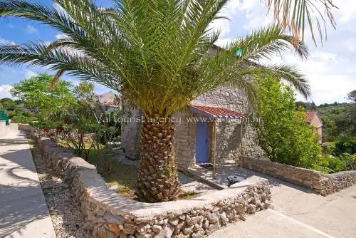 Schöne Wohnung In Veli Losinj