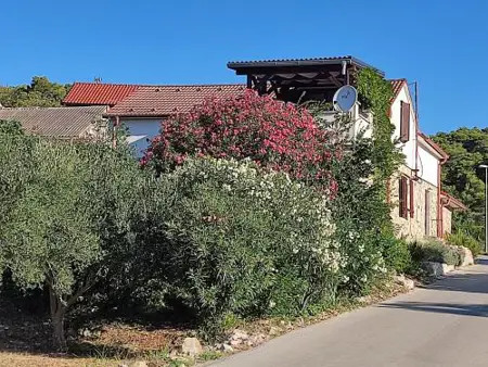 Apartments with parking space Rukavac, Vis - 23763