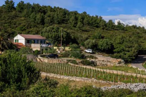 House Paradiso