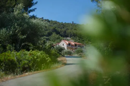 Olive Hill Familly House