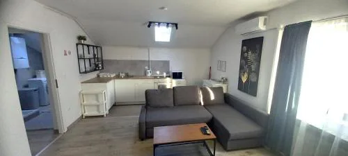 Apartment Lenchy