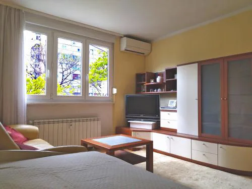 Apartment Roko