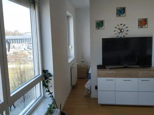 Apartments Cankareva