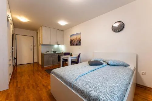 Flex SelfCheckIns 113 - Zagreb - Studio Apartment - WIFI