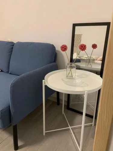 Isidora Studio Apartman