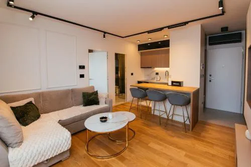 Luxury Apartment