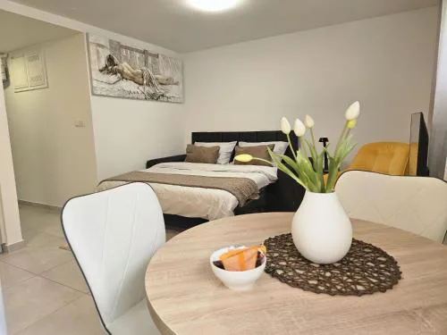 Studio apartman Sabi